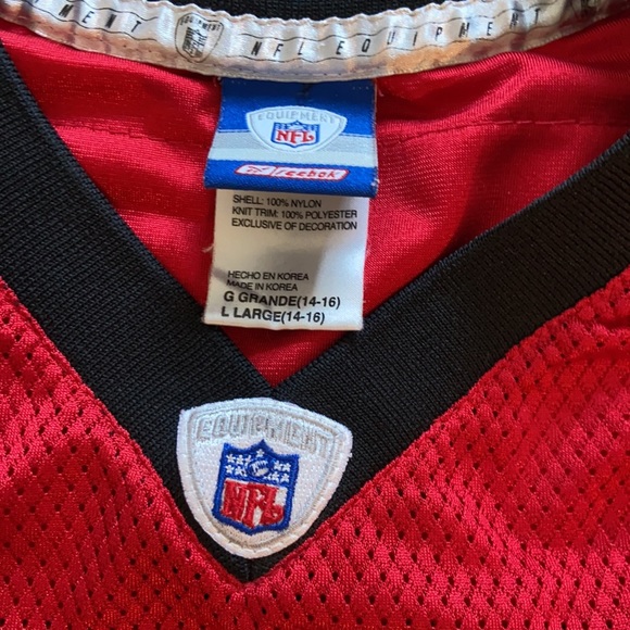 Michael Vick Jersey - Picture 3 of 5